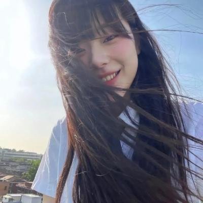 雁南飞